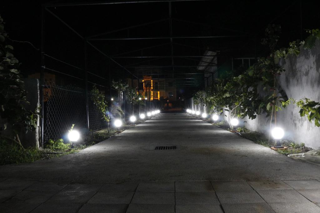 Guest House Sofia コブレチ エクステリア 写真