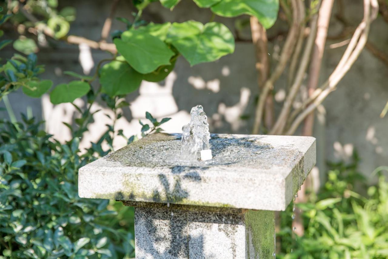 Guest House Sofia コブレチ エクステリア 写真